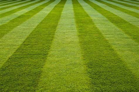 How To Create Picture Perfect Lawn Mowing Patterns