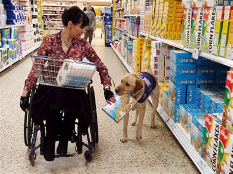 10 Beautiful Ways Service Dogs Help Their Humans In