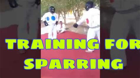 Training For Sparring Technique Youtube