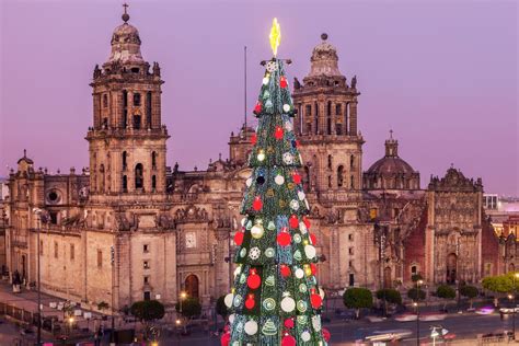Most Beautiful Christmas Trees In The World