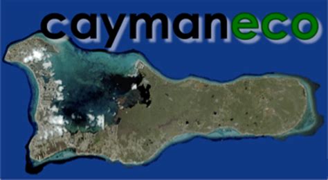 Cayman Eco Beyond Cayman Peatland Drainage In Southeast