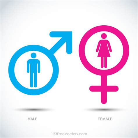 Male And Female Icon At Vectorified Collection Of Male And Female