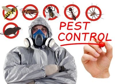 Why Is Pest Control Important Head Information