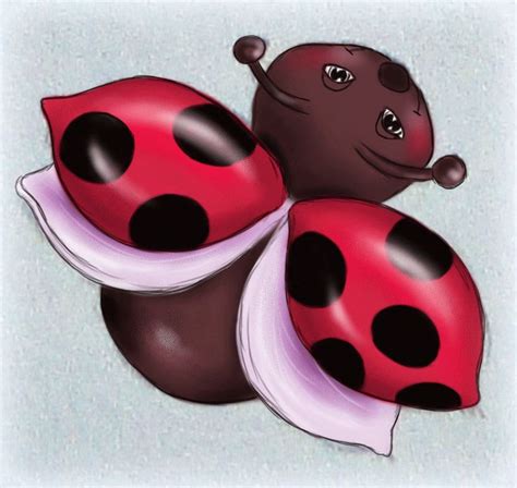 Pin On Ladybugs