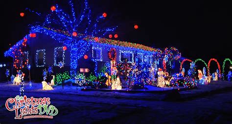 christmas light shows christmas light show blue christmas decor
