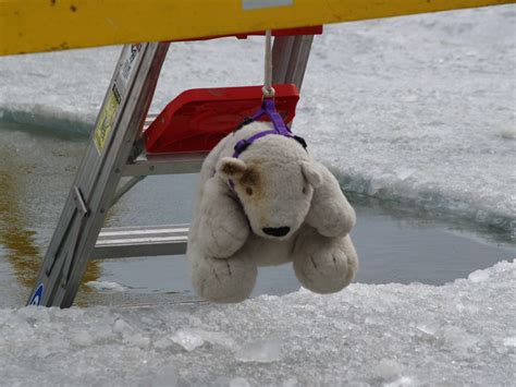 Polar Bear The Mascot For The Annual Empire Winterfest Pol Flickr