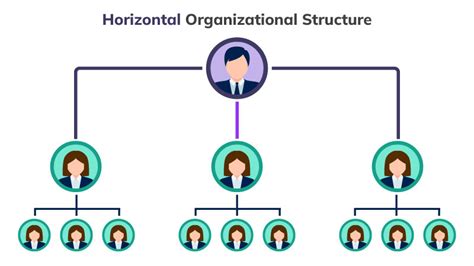 In Depth Elaboration Of Horizontal Organizational Structure