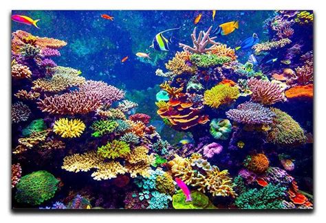 Coral Reef And Tropical Fish Canvas Print Or Poster Coral Reef