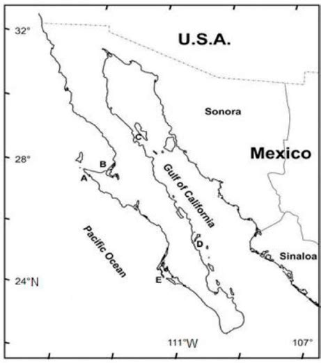 Geographic Location Of The Study Area A Bahía Tortugas And Other