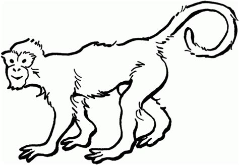 Monkey coloring sheets are both fun and educational. Redirecting to http://www.sheknows.com/parenting/slideshow ...