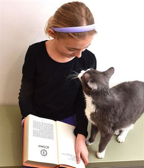 Kids Practice Their Reading With Needy Cats