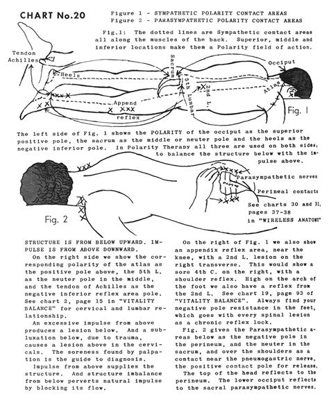 polarity therapy volume 2 book 6 chart 20 acupressure therapy acupressure treatment
