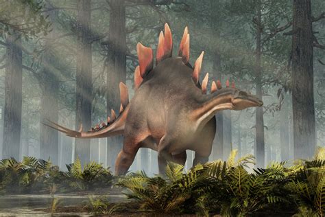 Stegosaurus Popis Dinosaura Z Období Jury