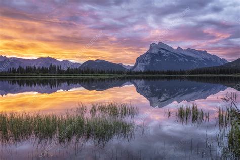 Mount Rundle Reflected In Vermillion Lakes At Sunrise Stock Image