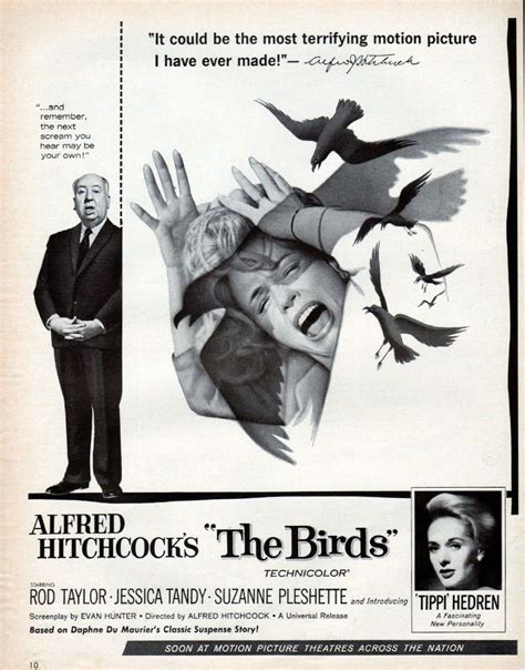 1963 the birds original movie ad tippi hedren rod taylor x1124 movie posters alfred