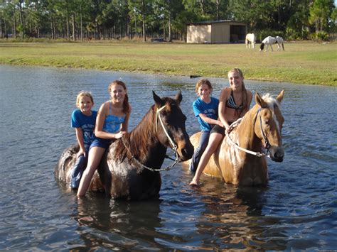 Horseback Riding Camp And Horseback Riding Lessons Fellsmere Florida