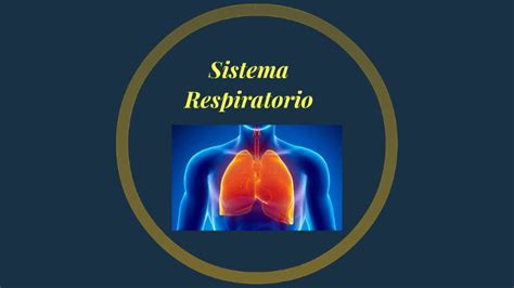 Sistema Respiratorio By Katherine Cruz Masias