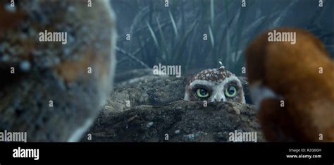 Legend Of The Guardians The Owls Of Gahoole Year 2010 Usa Director