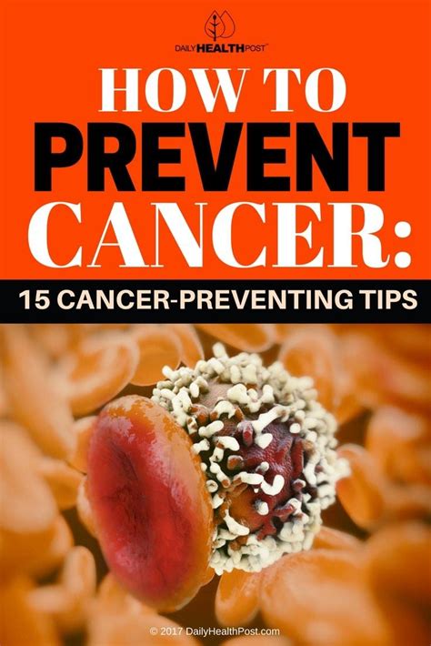 How To Prevent Cancer 15 Cancer Preventing Tips — Info You Should Know