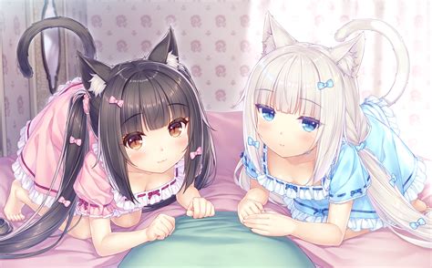 Nekopara Hd Wallpaper Background Image 2220x1380 Id1116089 Wallpaper Abyss