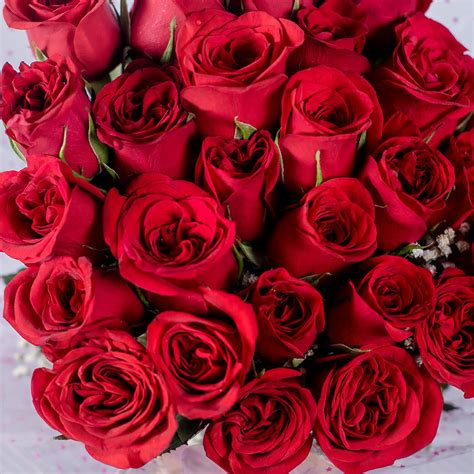 Colorful Celebration Red Roses Bunch Winni