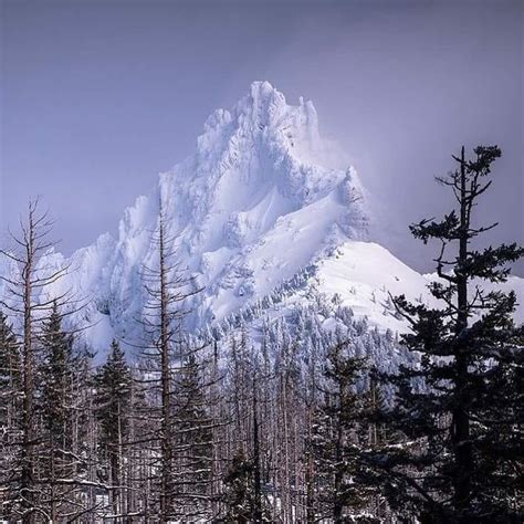 Three Fingered Jack Located In The Cascade Range Of Oregon Picture By
