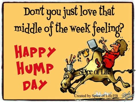 dont you just love that middle of the week feeling happy hump day wednesday morning quotes