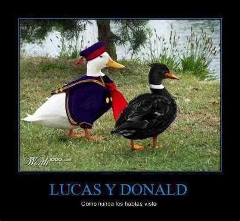 Donald Y Lucas Meme Subido Por Soydolphin Memedroid