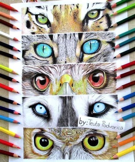 Animals Eye Drawing By Teuta Podvorica Eye Drawing 7th Grade Art