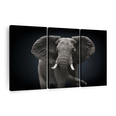 Adult African Elephant Wall Art Photography