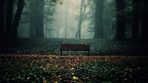 Download Wallpaper For 750x1334 Resolution Lonely Bench In Forest