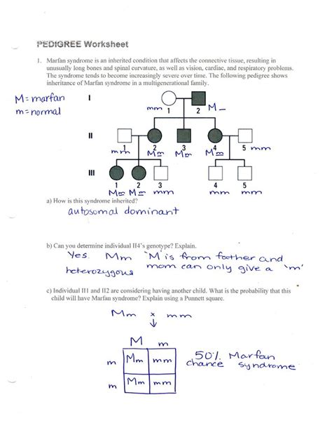 Practice Pedigree Chart Answer Key