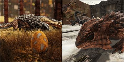Ark Survival Evolved Everything You Need To Know About