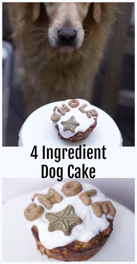 I made it for my dog, sparky's first birthday! The Easiest Dog Birthday Cake Recipe for a Dog Birthday