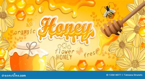 Honey Bee Banner Vector Illustration 5358780
