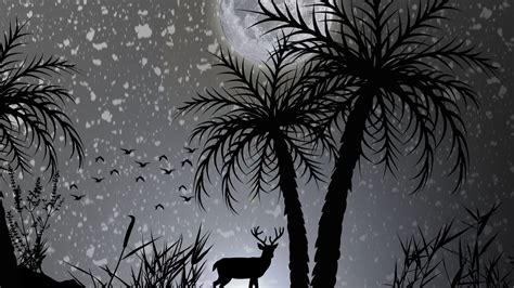 1280x720 Reindeer Dark Night Moon Minimalist 720p Hd 4k Wallpapers
