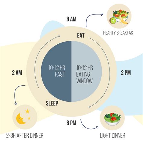 What Is The Circadian Rhythm Eating Pattern