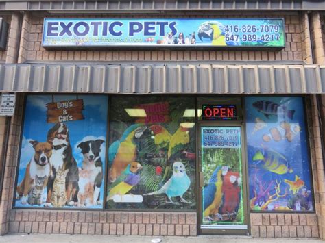 Exotic Pets Opening Hours 4286 Kingston Rd Scarborough On