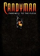 Confessions of a Film Junkie: A review of "Candyman 2: Farewell to Flesh"