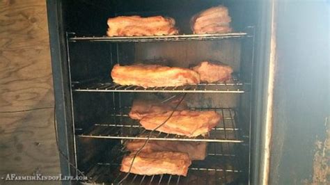 how to make homemade bacon a farmish kind of life