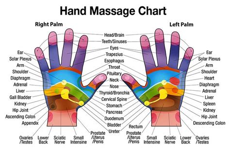 Free Downloadable Hand Massage Chart For Self Healing Hand