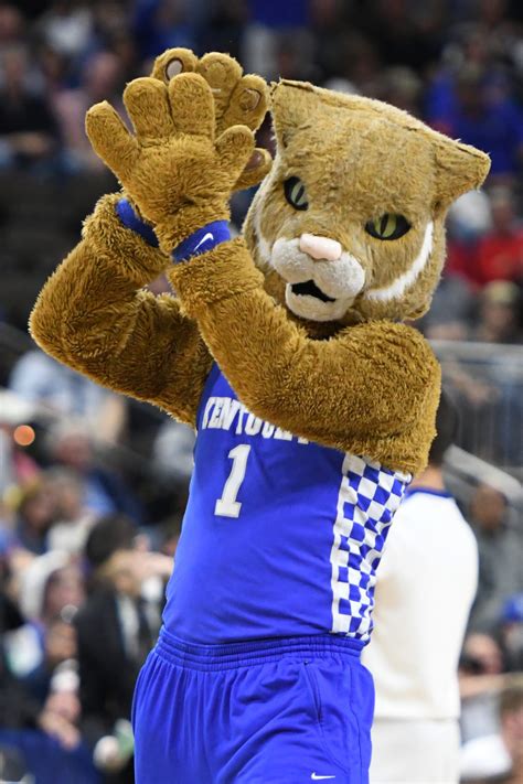 College Sports The Complete List Of Ncaa Feline Mascots