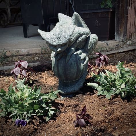 Making A Gothic Fairy Tale Garden The Carterhaugh School Of Folklore