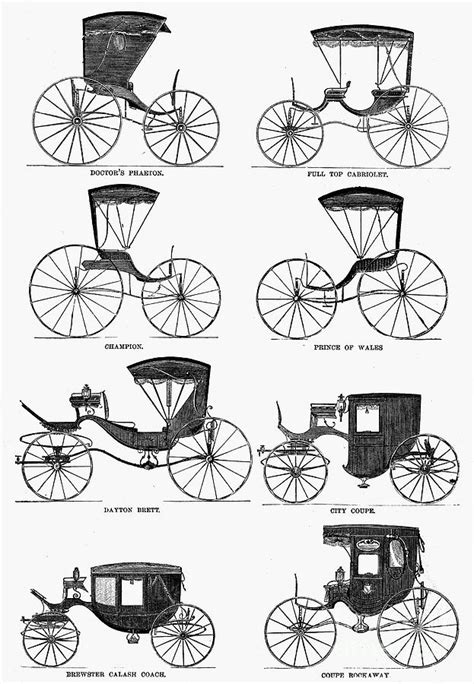 Carriage Types C1860 Photograph By Granger