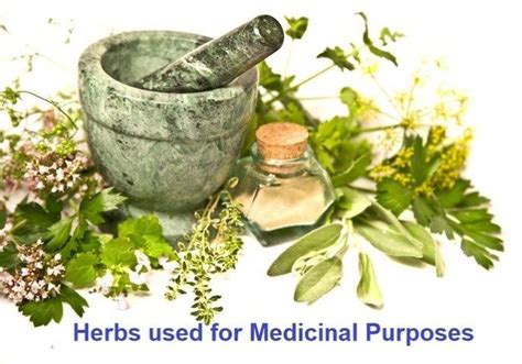 Herbs Used For Medicinal Purposes Natural Treatments Natural Cures