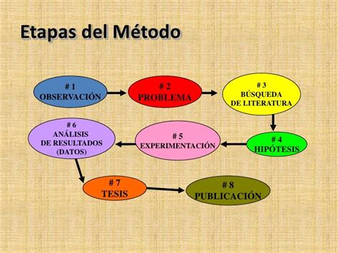 Etapas Del Metodo Cientifico Escuela De Comercio Y Administracio Sil