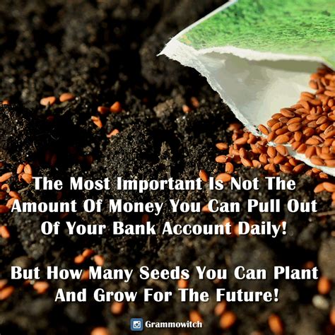 How To Plant Seeds Quotes In 2023