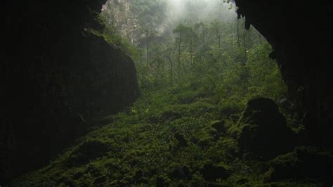 Farmer Discovered The World Strange And Amazing Cave In Vietnam Freeyork