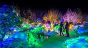 Blossoms of Light | Denver Botanic Gardens