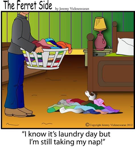 124 Best Laundry Humor Images On Pinterest Laundry Humor So Funny